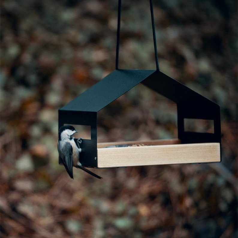 Eleganter Vogel Futterspender aus Metall | Hängefutterstation für Garten und Balkon