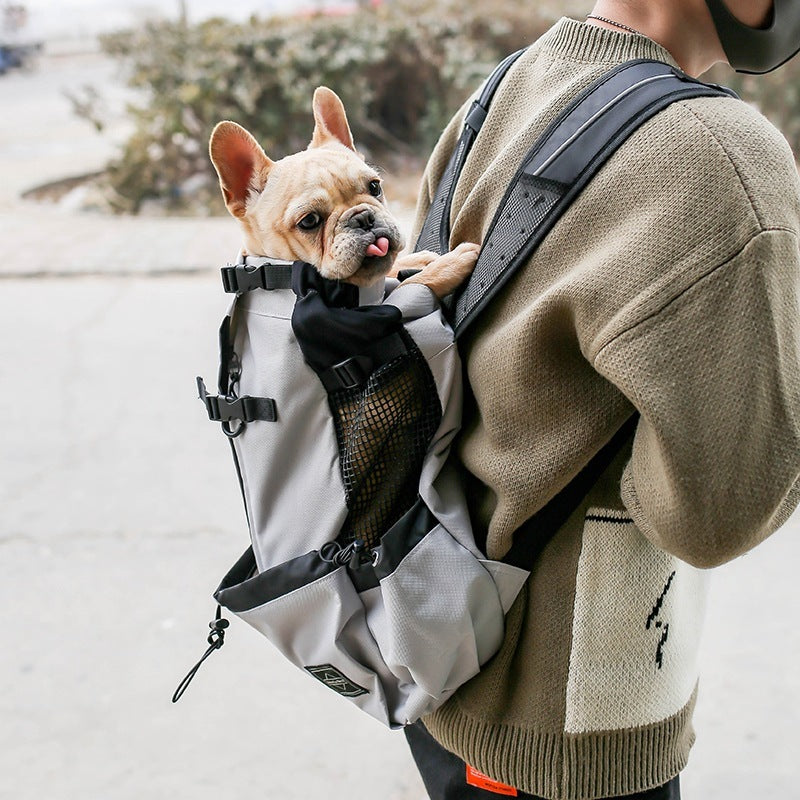 Hunde-Tragerucksack für unterwegs – Verstellbar & bequem in 6 Farben