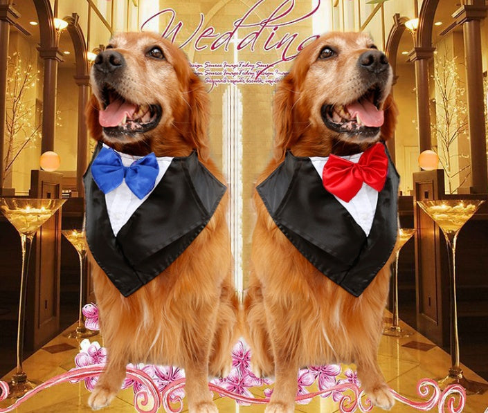Hochzeits-Halstuch für grosse Hunde | Elegantes Smoking-Dreieckstuch in Rot & Blau