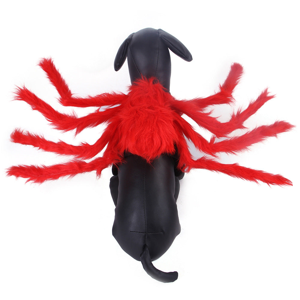 Lustiges Spinnenkostüm für Hunde & Katzen | Halloween Kostüm