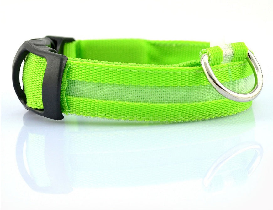 LED-Leuchthalsband für Hunde & Katzen – USB-aufladbar für mehr Sicherheit bei Nacht