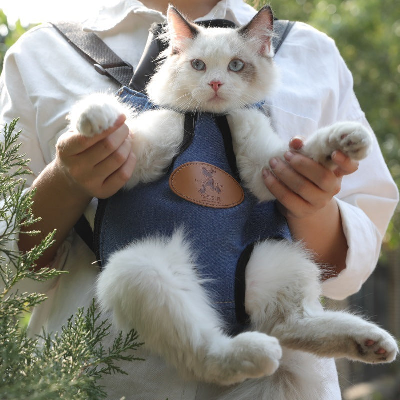 Tragbarer Design-Katzenrucksack – Ideal für Frühlingsausflüge