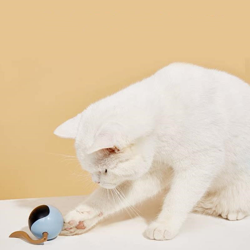 Fofos Magic LED-Rollball für Katzen – Farbiger 360° Smartball mit Bewegungssensor