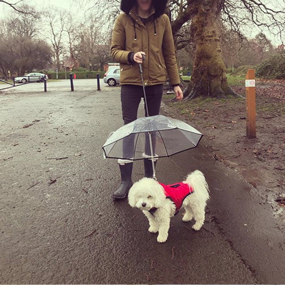 Transparenter Hunde-Regenschirm mit Leine – Abnehmbar & wetterfest