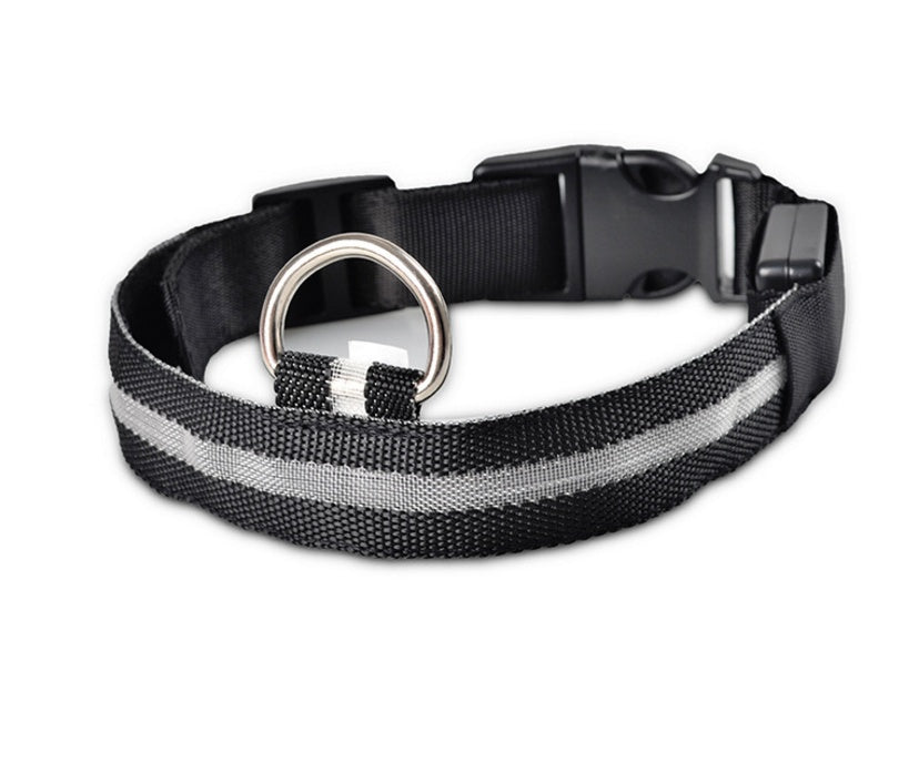 LED-Leuchthalsband für Hunde & Katzen – USB-aufladbar für mehr Sicherheit bei Nacht