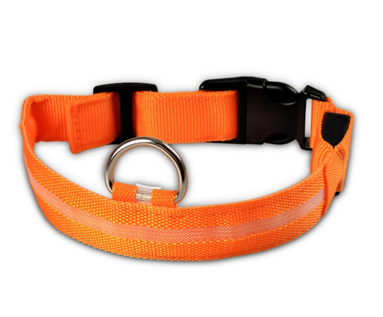 LED-Leuchthalsband für Hunde & Katzen – USB-aufladbar für mehr Sicherheit bei Nacht
