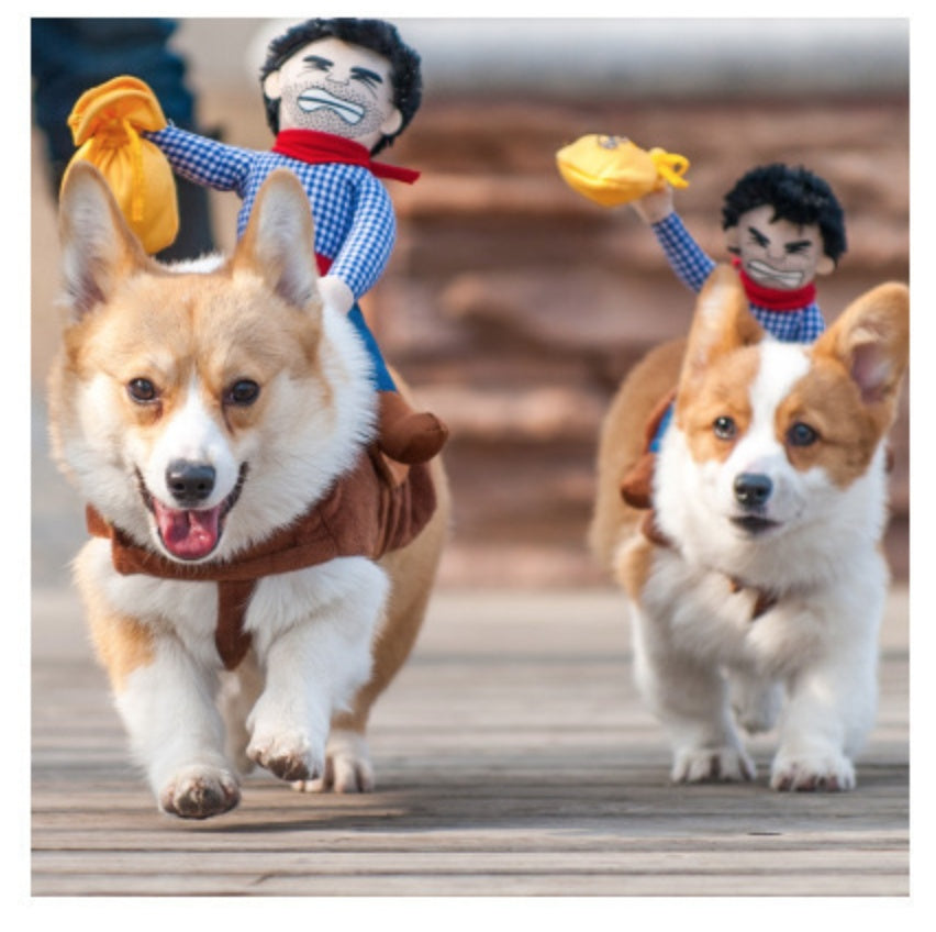 Riding Cowboy Haustierkostüm für Hunde und Katzen
