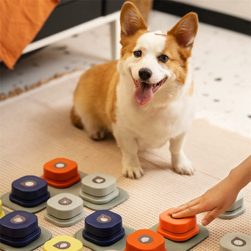 Sprachaufnahme-Button für Tiere – Interaktives Kommunikationstool für Hunde, Katzen & Vögel