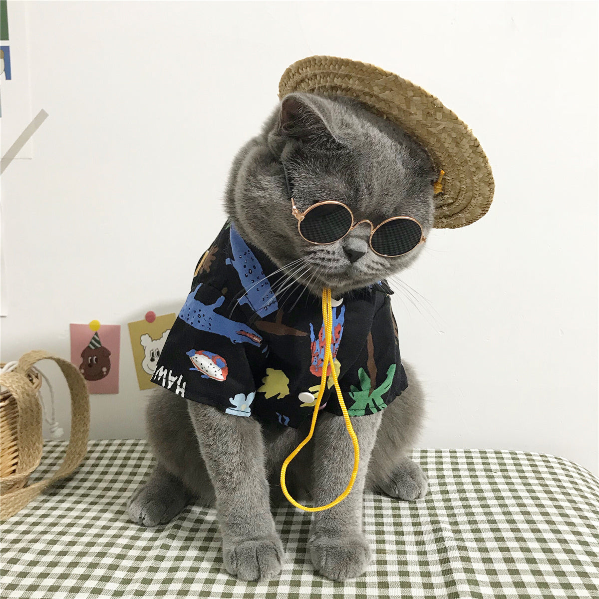 Hawaii-Outfit für Katzen – Sommerhemd mit Strohhut & Brille