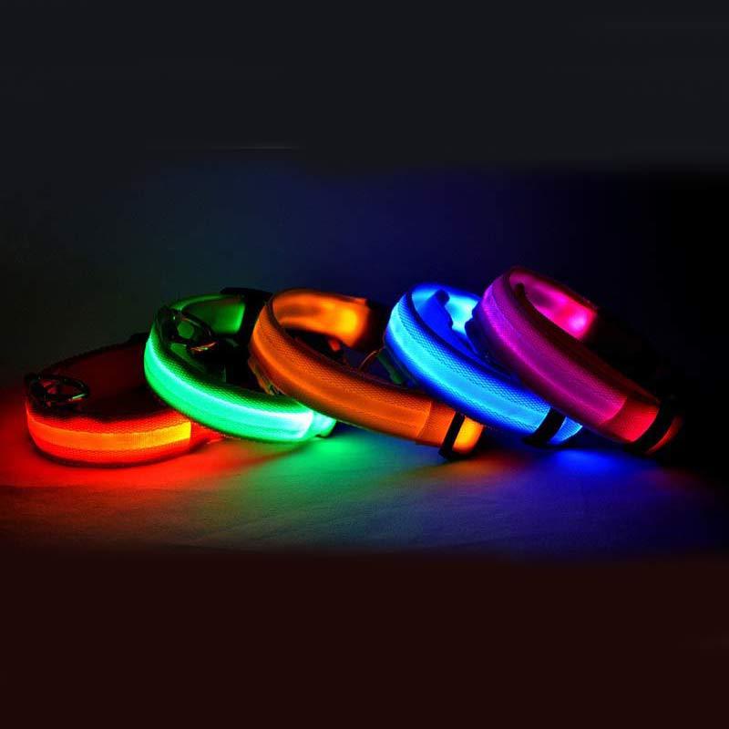 LED-Leuchthalsband für Hunde & Katzen – USB-aufladbar für mehr Sicherheit bei Nacht