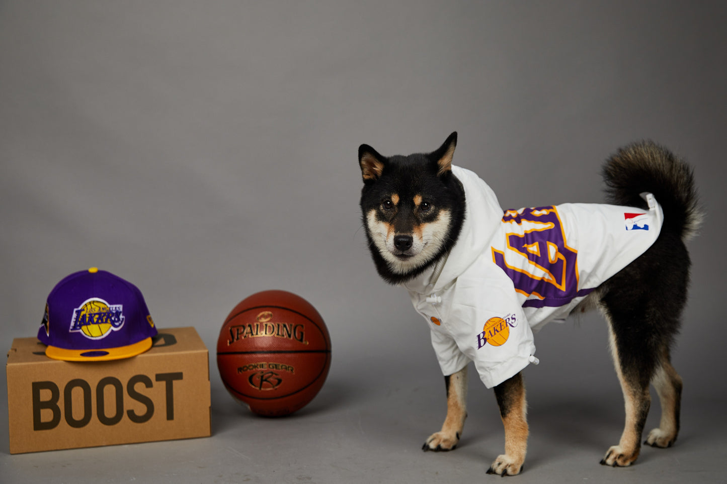 Basketball-Jacke für Hunde & Katzen | Stylische Haustierjacke im US-Design