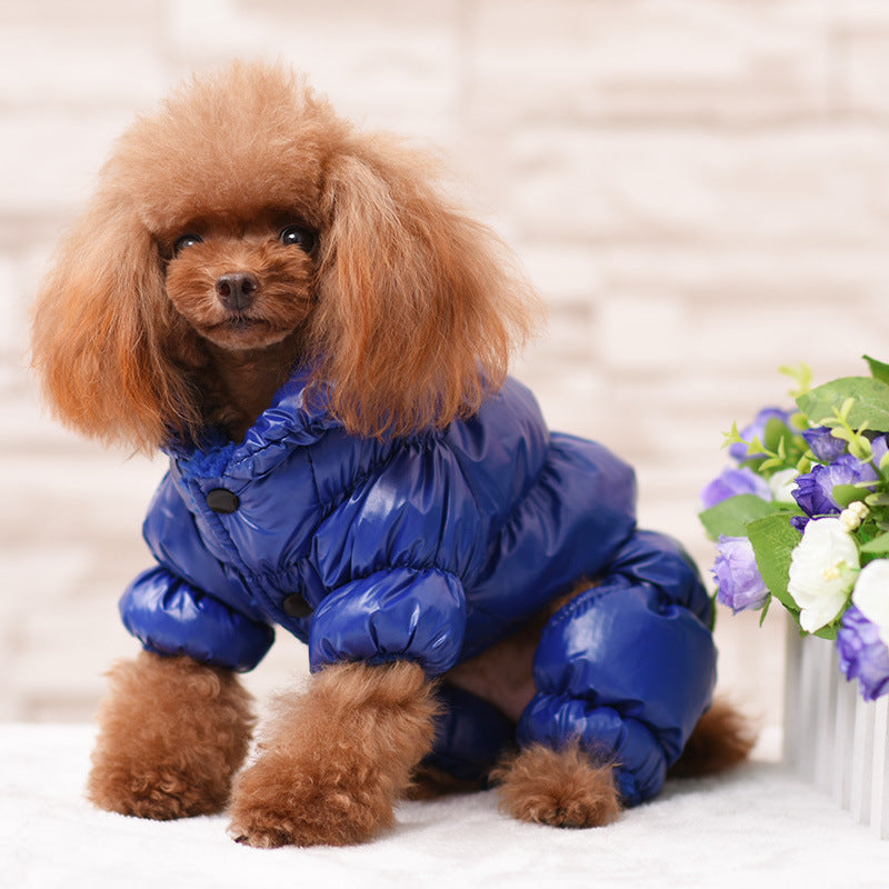 Wärmende Hundekleidung im Daunenjackenstil – Bequeme und stylische Hundejacke für den Winter