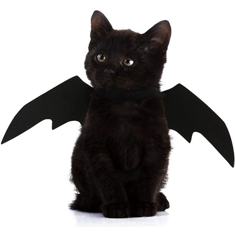 Halloween Fledermausflügel – Verkleidung für Hunde & Katzen