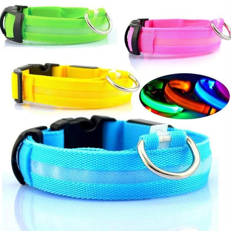 LED-Leuchthalsband für Hunde & Katzen – USB-aufladbar für mehr Sicherheit bei Nacht