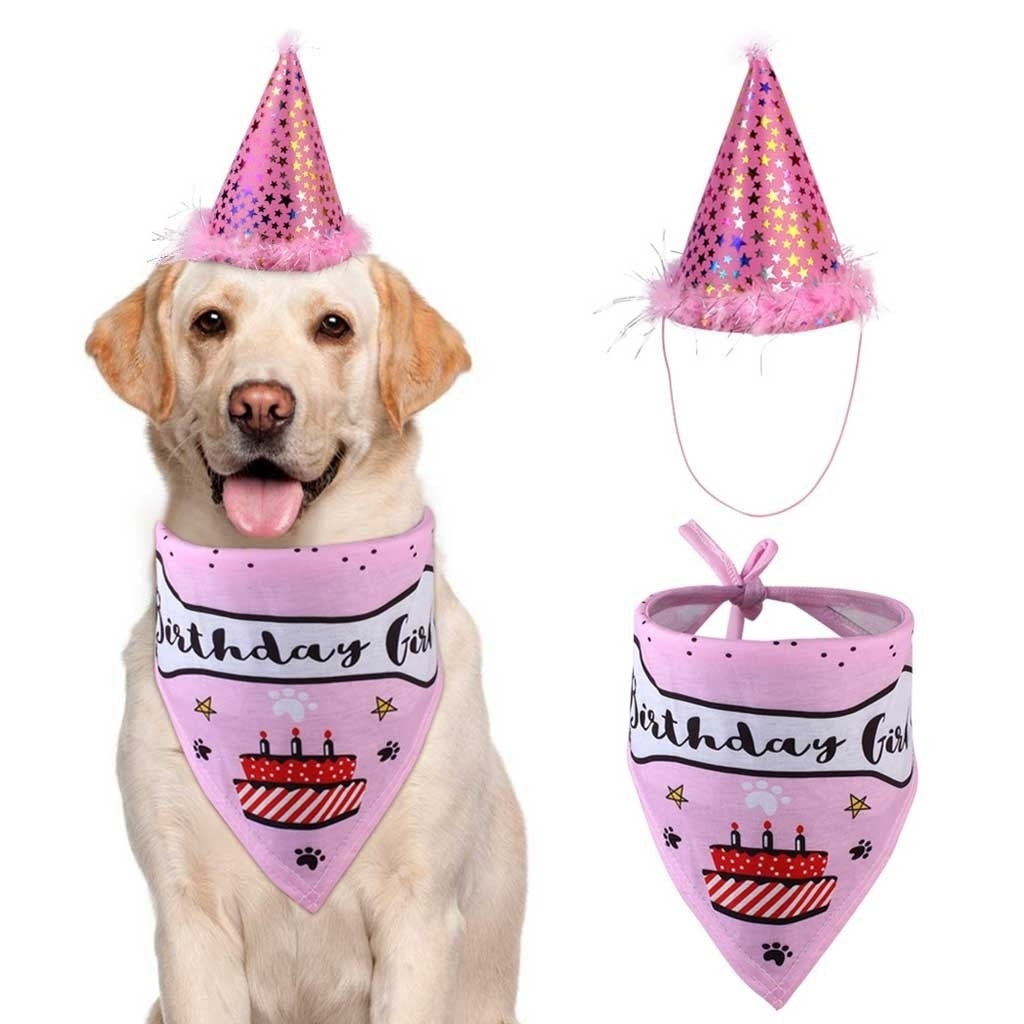 Geburtstags-Set für Hunde | Partyhut & Halstuch in Rosa & Blau