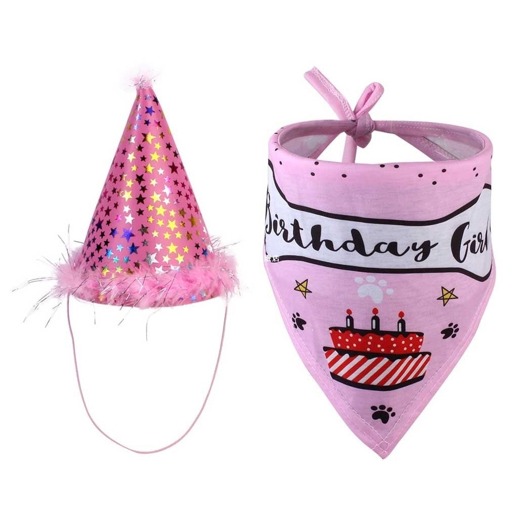 Geburtstags-Set für Hunde | Partyhut & Halstuch in Rosa & Blau