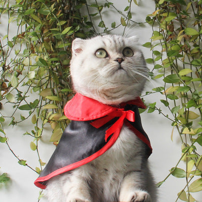 Halloween Umhang mit Hut – Warmes Haustierkostüm für Hunde & Katzen