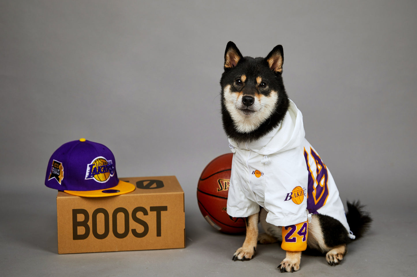 Basketball-Jacke für Hunde & Katzen | Stylische Haustierjacke im US-Design