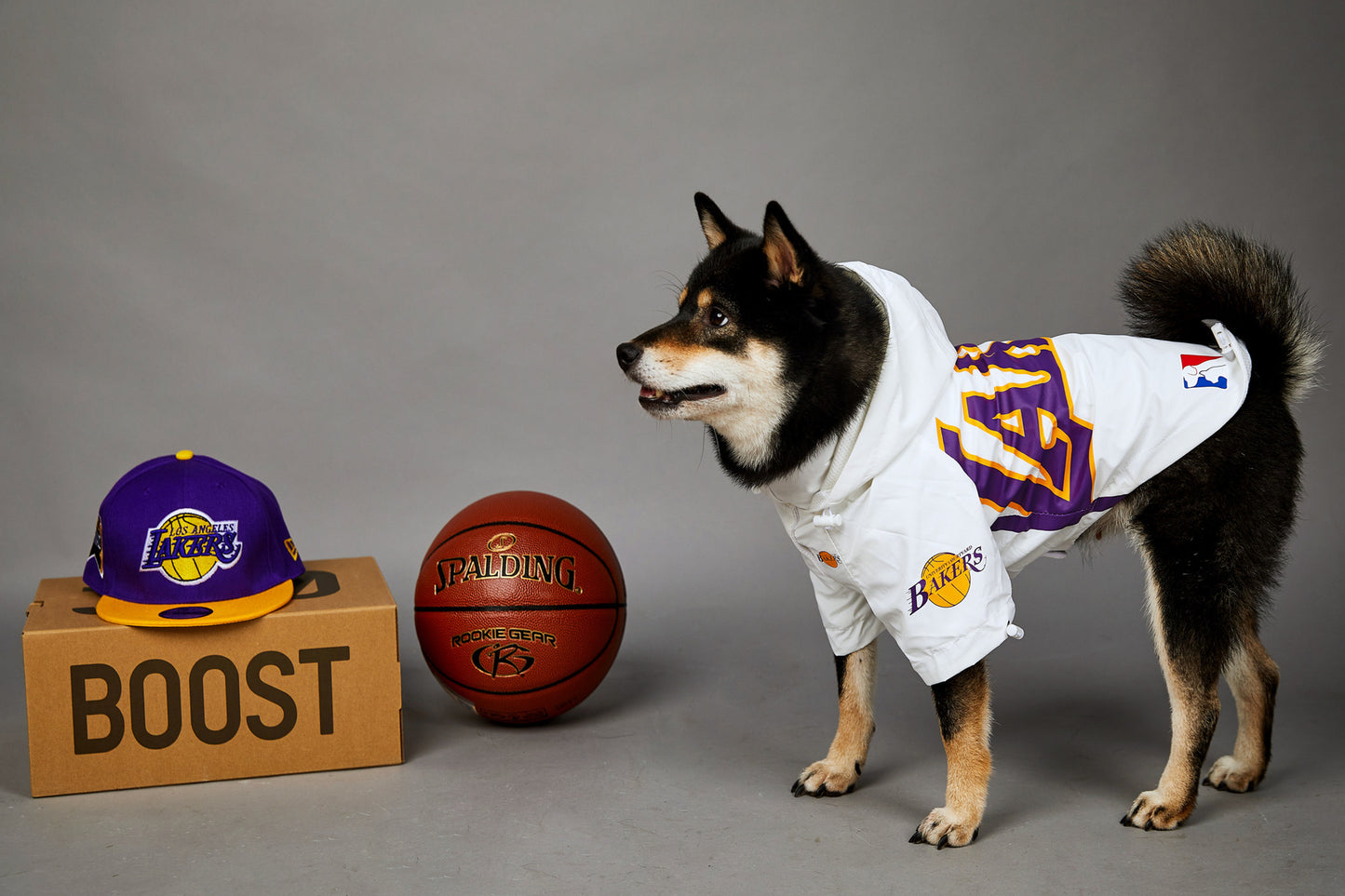 Basketball-Jacke für Hunde & Katzen | Stylische Haustierjacke im US-Design