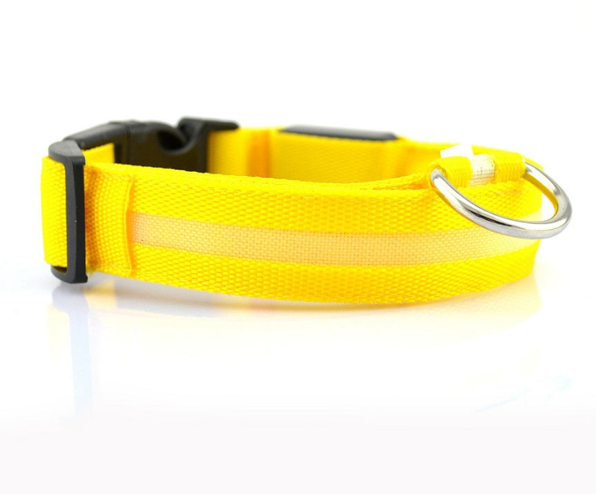 LED-Leuchthalsband für Hunde & Katzen – USB-aufladbar für mehr Sicherheit bei Nacht