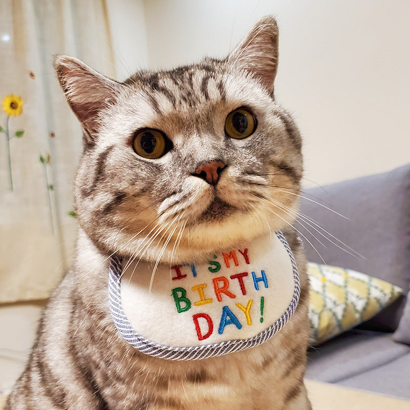 Geburtstags-Halstuch für Hunde & Katzen | Dreieckstuch "It's my Birthday"