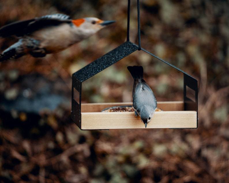 Eleganter Vogel Futterspender aus Metall | Hängefutterstation für Garten und Balkon