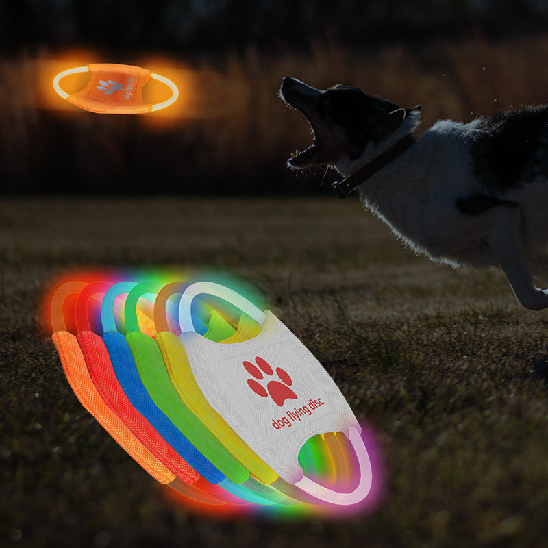 Leuchtender Hunde-Frisbee mit LED – Wiederaufladbares Wurfspielzeug für Tag & Nacht