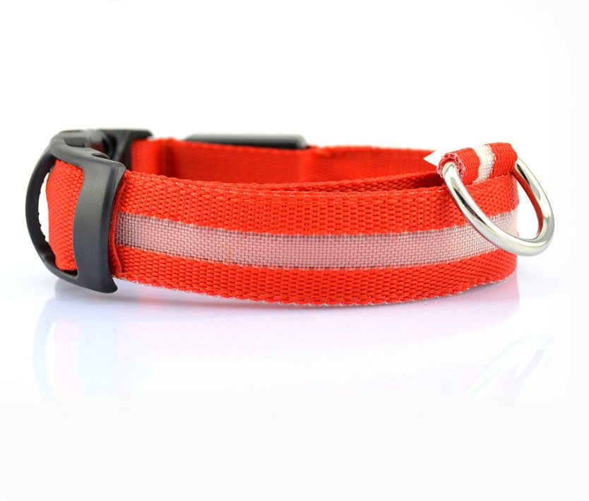 LED-Leuchthalsband für Hunde & Katzen – USB-aufladbar für mehr Sicherheit bei Nacht