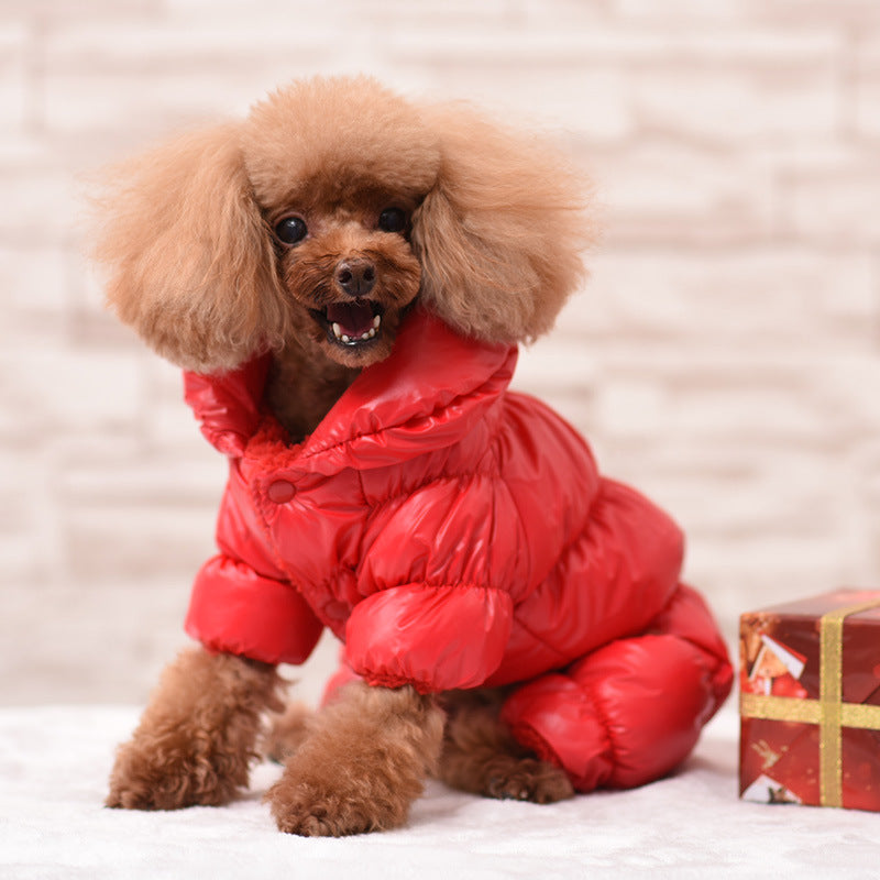 Wärmende Hundekleidung im Daunenjackenstil – Bequeme und stylische Hundejacke für den Winter