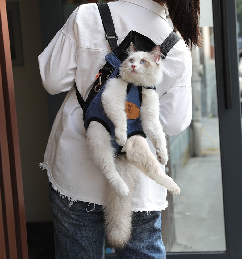 Tragbarer Design-Katzenrucksack – Ideal für Frühlingsausflüge