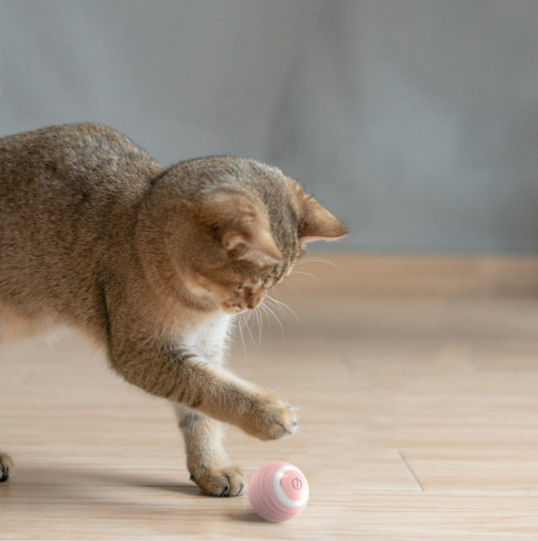 Automatisch rollender Katzenball – Smartes selbstbewegendes Spielzeug für Katzen