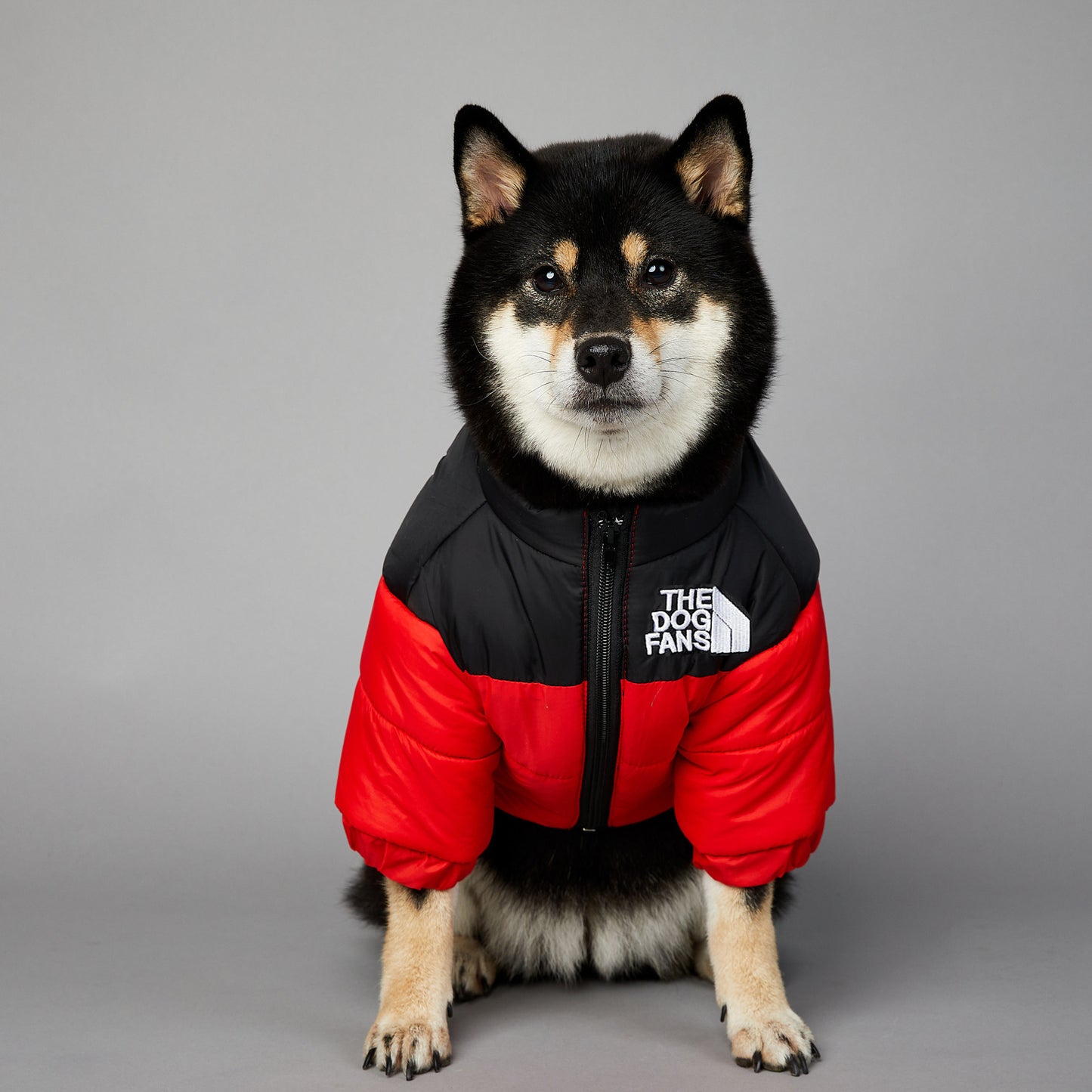 The Dog Fans - Gefütterte Haustierjacke