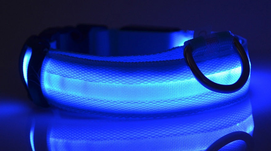 LED-Leuchthalsband für Hunde & Katzen – USB-aufladbar für mehr Sicherheit bei Nacht
