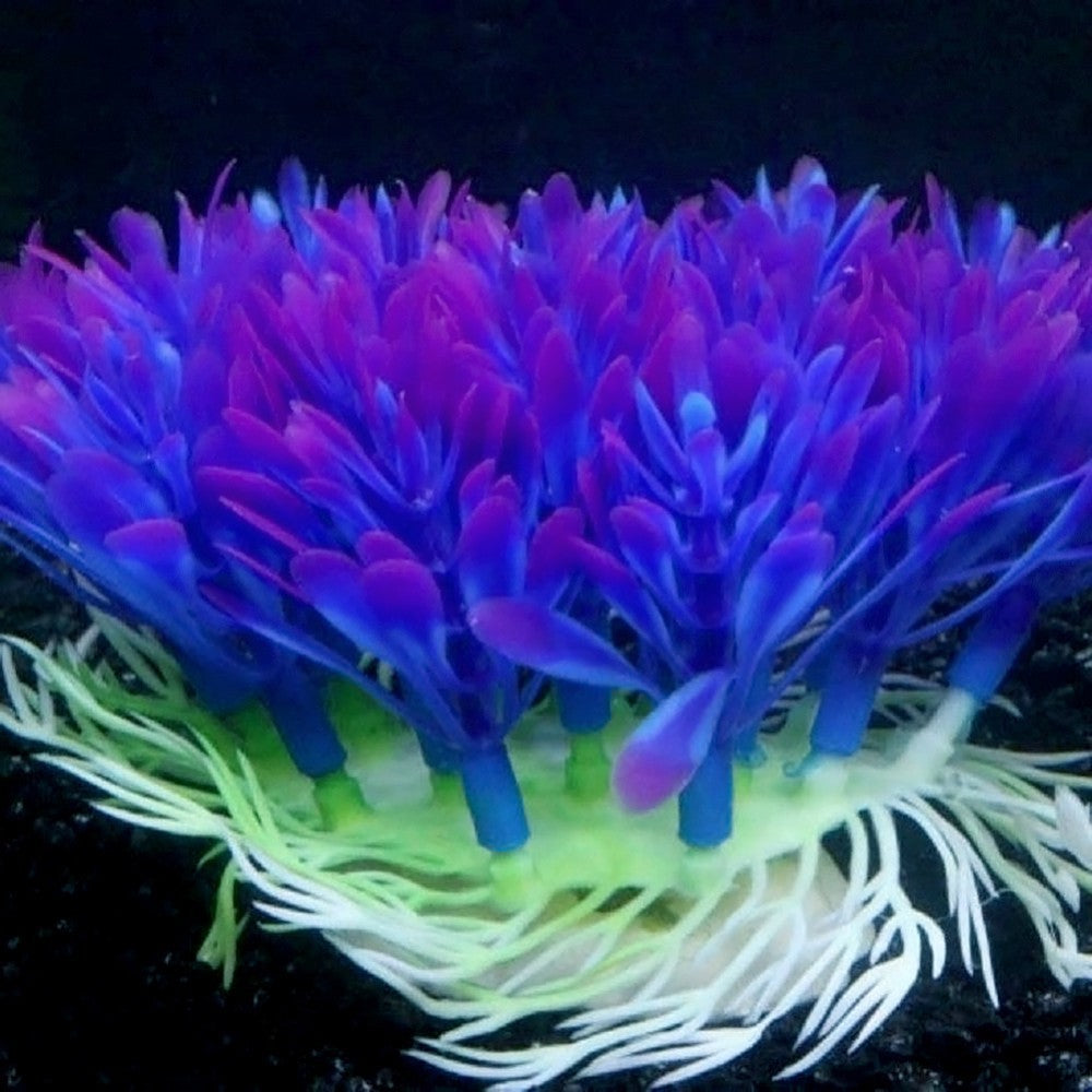 Aquarium Pflanzen Dekoration – Künstliche Wasserpflanzen mit Gipsbasis