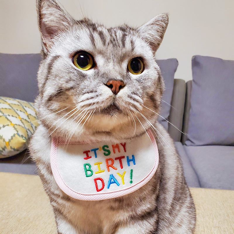 Geburtstags-Halstuch für Hunde & Katzen | Dreieckstuch "It's my Birthday"