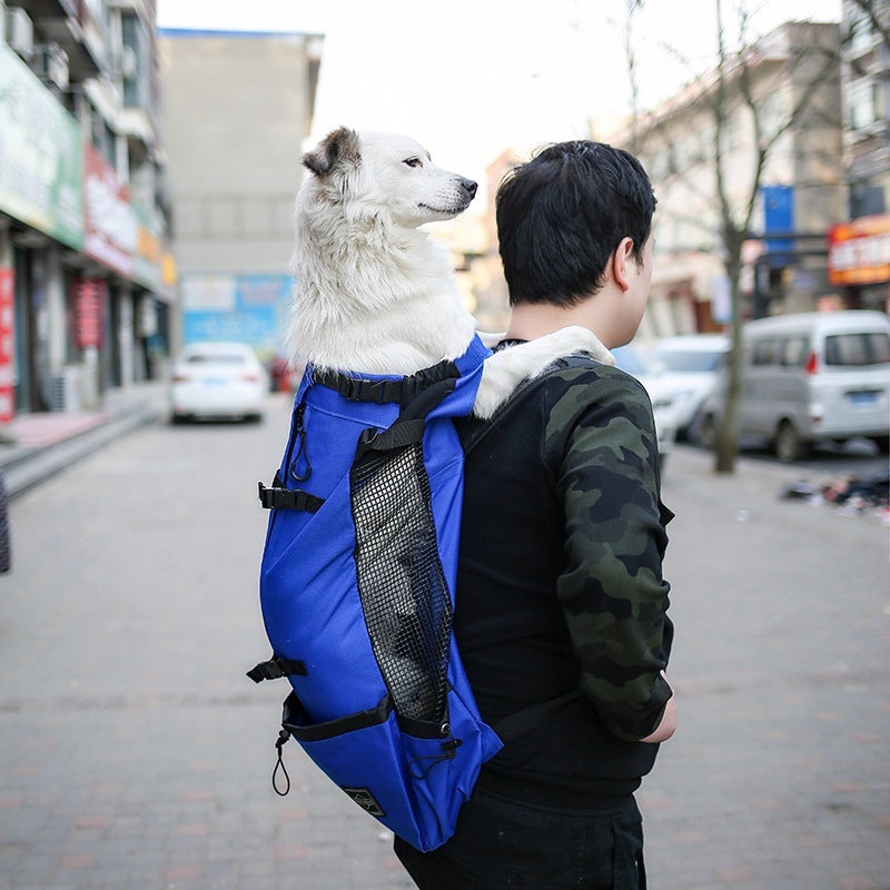 Hunde-Tragerucksack für unterwegs – Verstellbar & bequem in 6 Farben