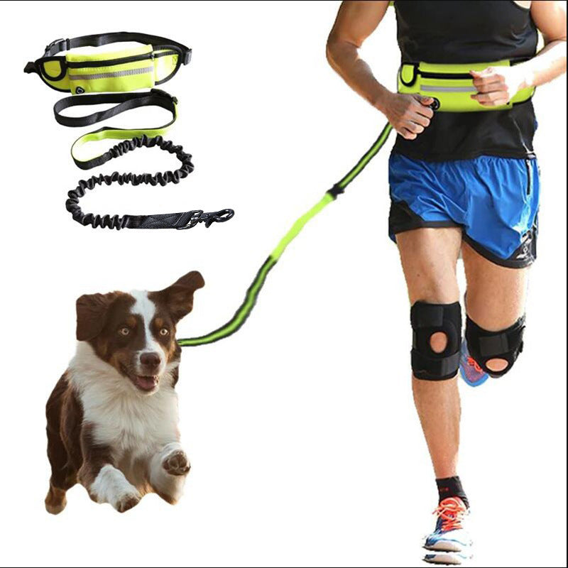 Handsfree Hunde-Jogging-Gurt mit Leine und Flaschenhalter