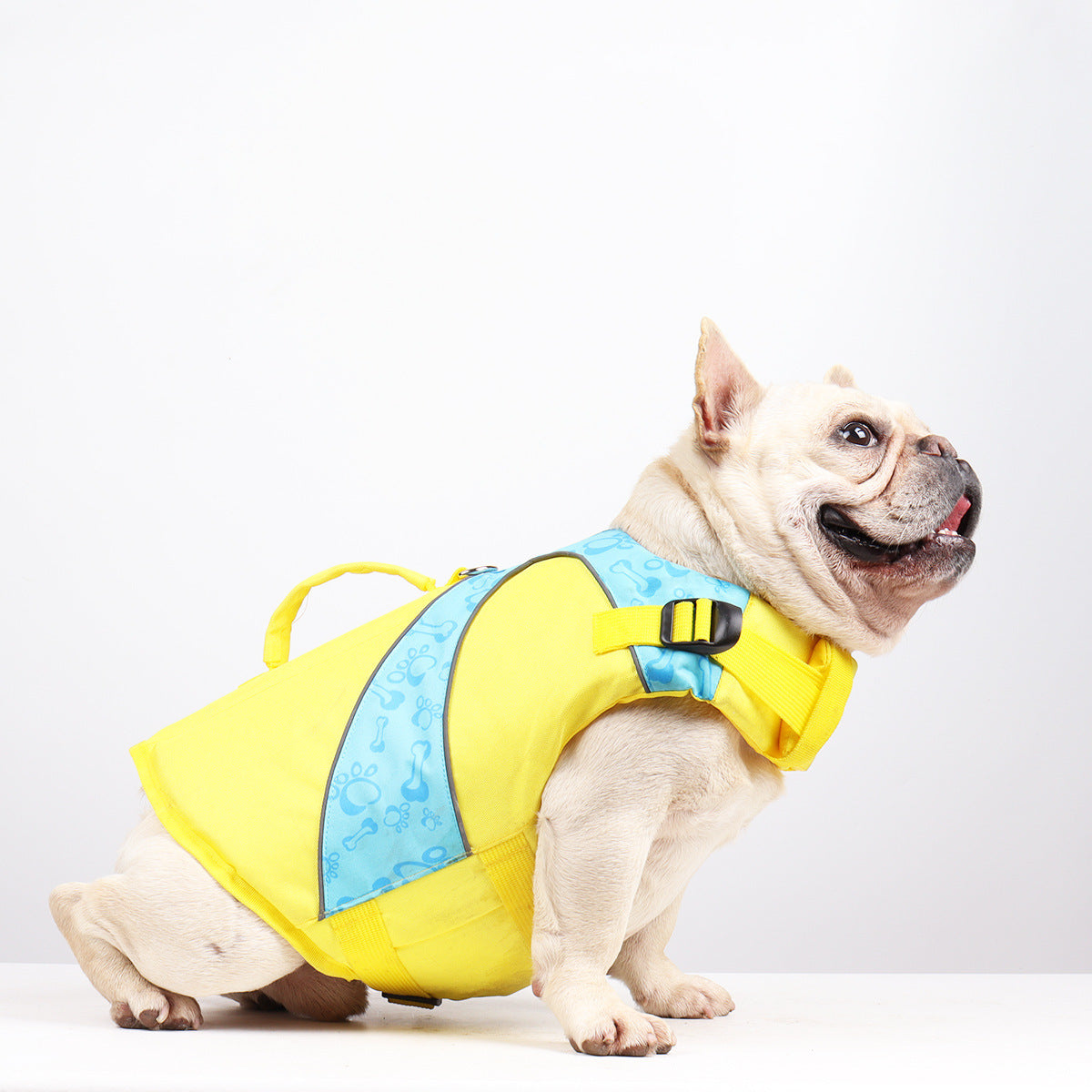 Schwimmweste für Hunde | Leichte Hundeschwimmhilfe mit Signalfarbe