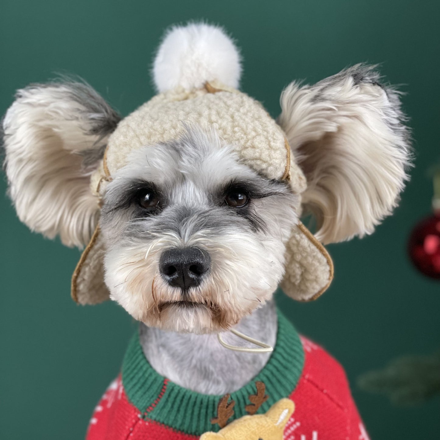 Hundemütze Ushanka mit Ohrlöchern | Warme Wintermütze für Hunde