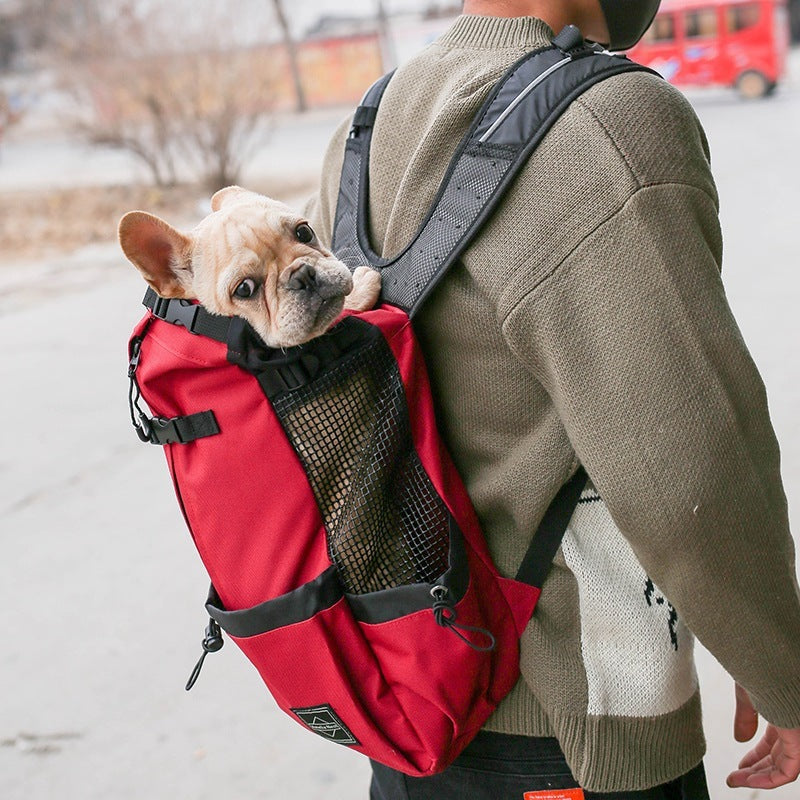 Hunde-Tragerucksack für unterwegs – Verstellbar & bequem in 6 Farben