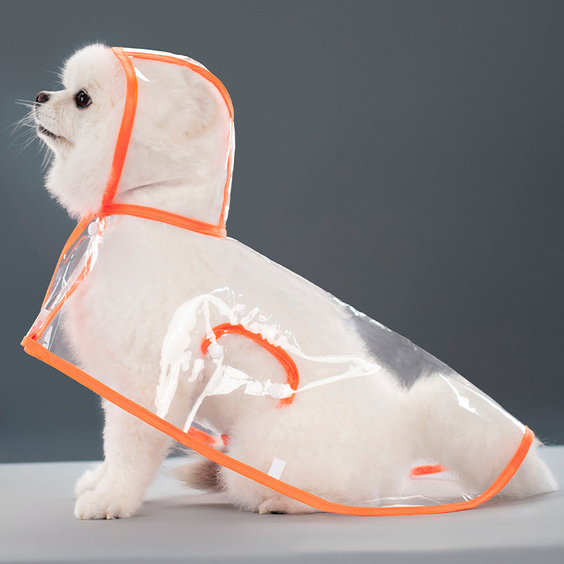 Transparenter Regenmantel für Hunde – Wasserdicht & farbig abgesetzt