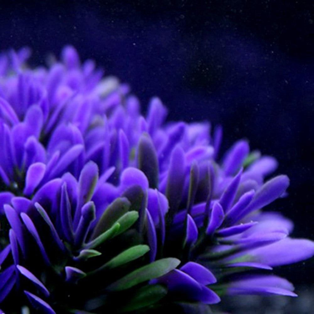 Aquarium Pflanzen Dekoration – Künstliche Wasserpflanzen mit Gipsbasis