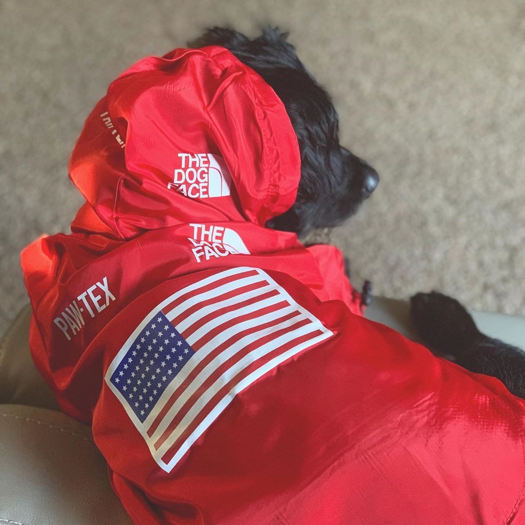 American Style winddichter Hunderegenmantel – "The Dog Fans" Design