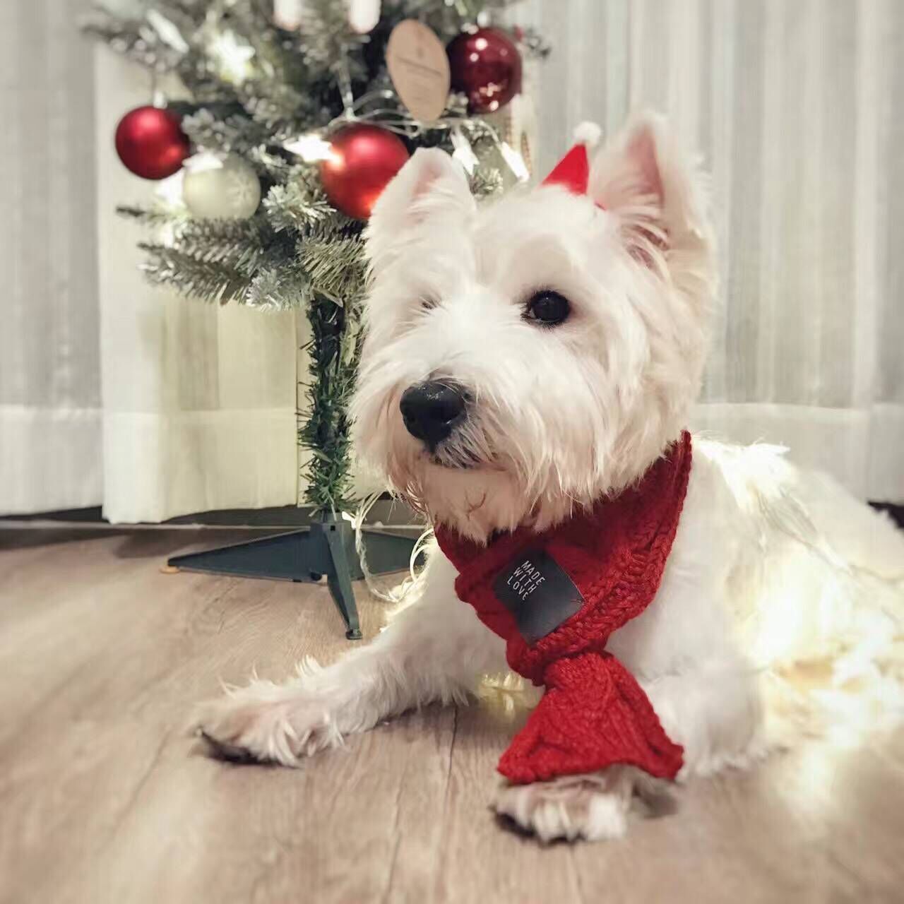 Warmer Haustier-Schal aus Wolle | Modisches Accessoire für Hunde & Katzen