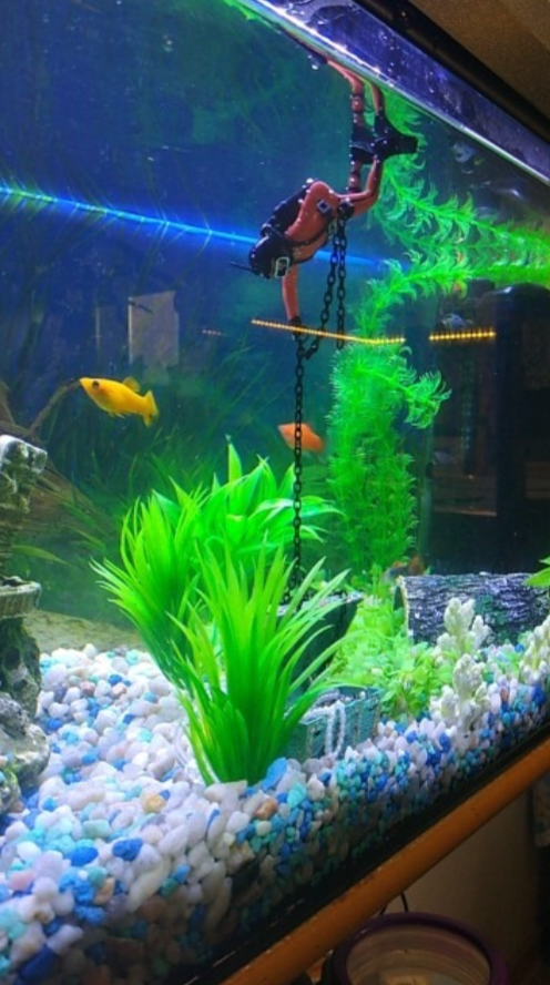 Aquarium Schatztruhe mit Taucher – Deko für Fischbecken