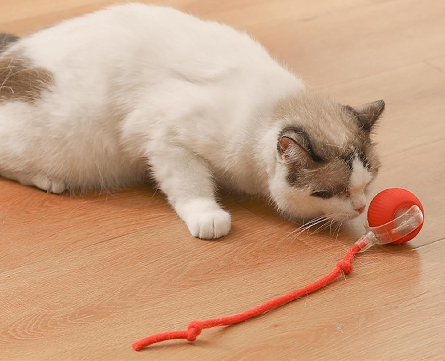 Interaktiver Smart Ball für Hunde & Katzen – Automatisches Spielzeug mit 360° Bewegung