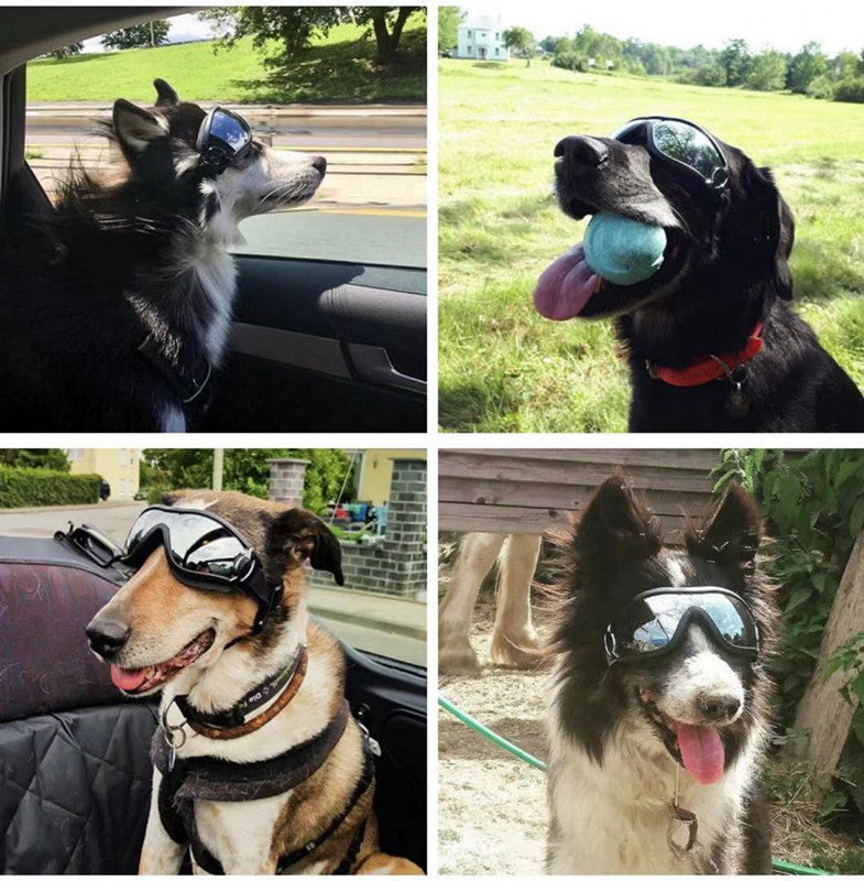 Wasserfeste Hundebrille mit UV-Schutz | Winddichte Sonnenbrille für Hunde