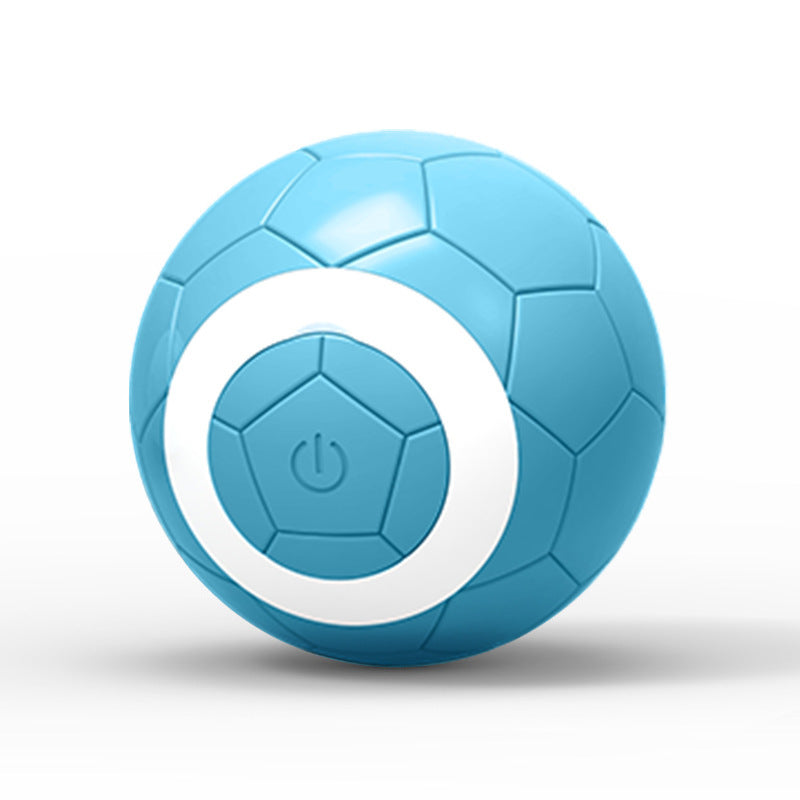Interactive Electric Play Ball (with Catnip Compartment)