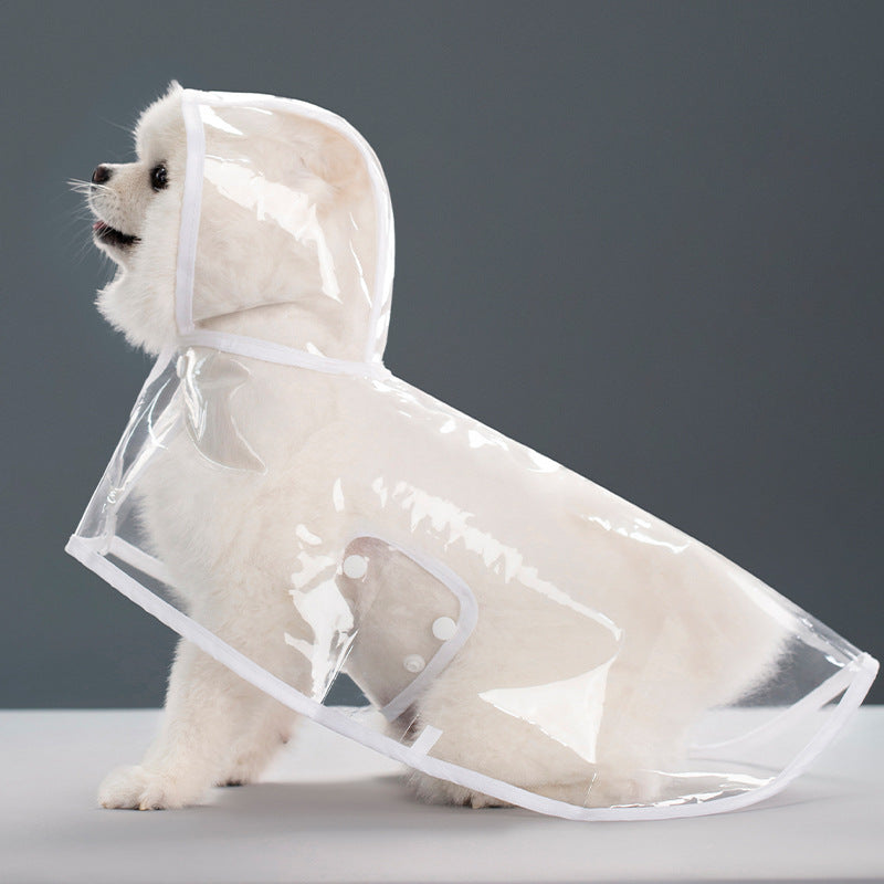 Transparenter Regenmantel für Hunde – Wasserdicht & farbig abgesetzt