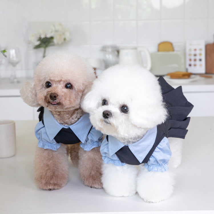 Schuluniform Hundejacke | Bequeme Hundekleidung im Casual-Look